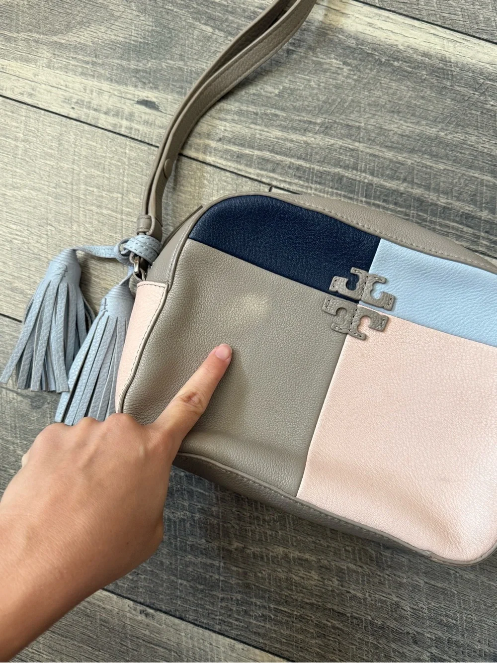 Tory Burch McGraw Crossbody Camera Bag